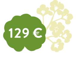 Blüte Fördermitgliedschaft 129 €