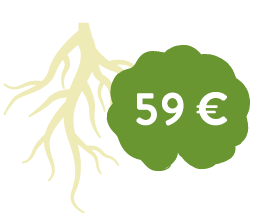 Wurzel Fördermitgliedschaft 59 €